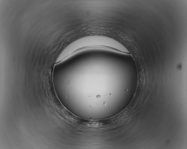 X0000116320225200912151250