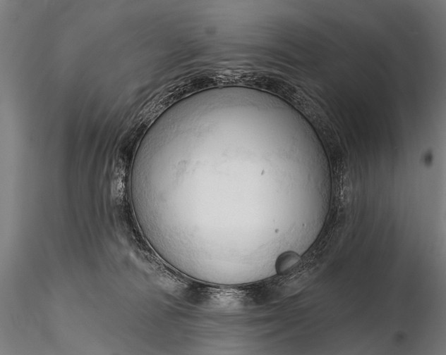 X0000116320226200912151250