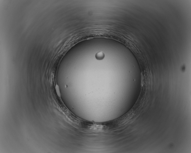 X0000116320227200912151250