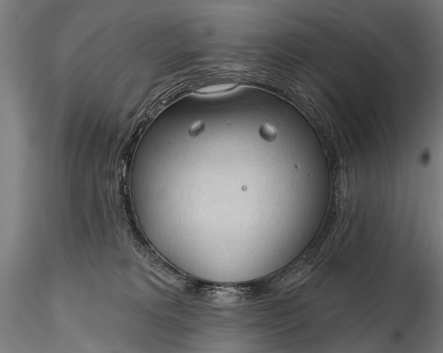 X0000116320229200912151250