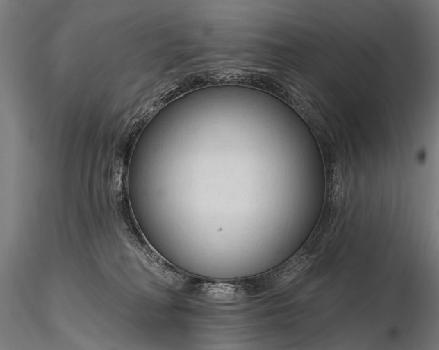 X0000116320230200912151250