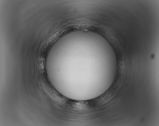 X0000116320232200912151249