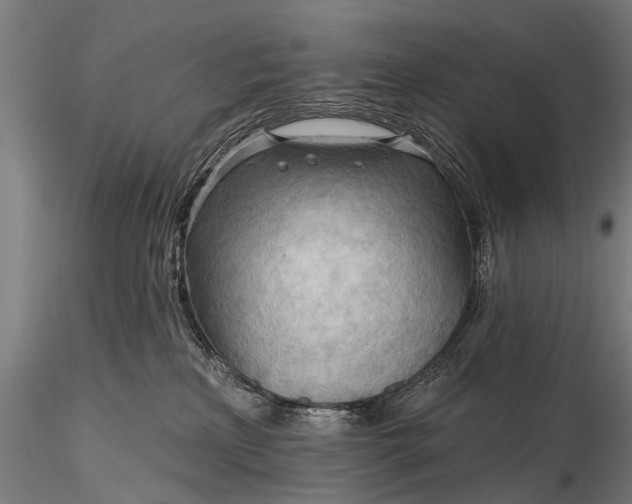 X0000116320233200912151249