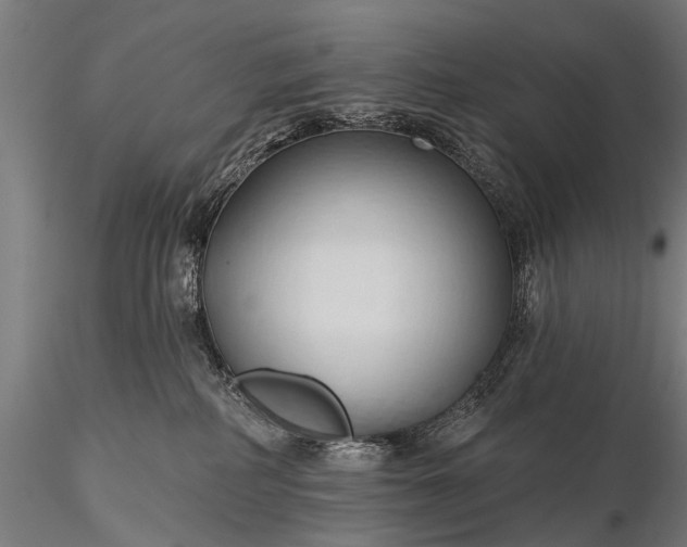 X0000116320234200912151249