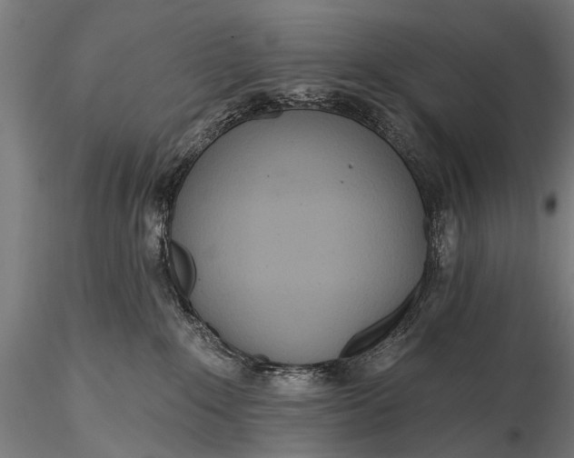 X0000116320235200912151249