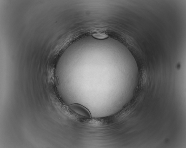 X0000116320236200912151249