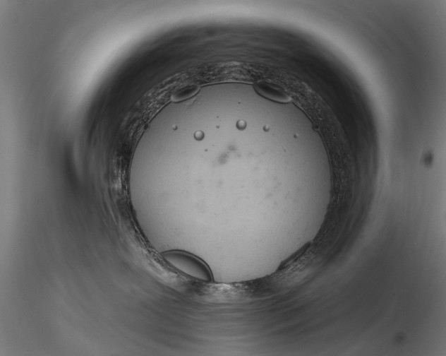 X0000116320239200912151249