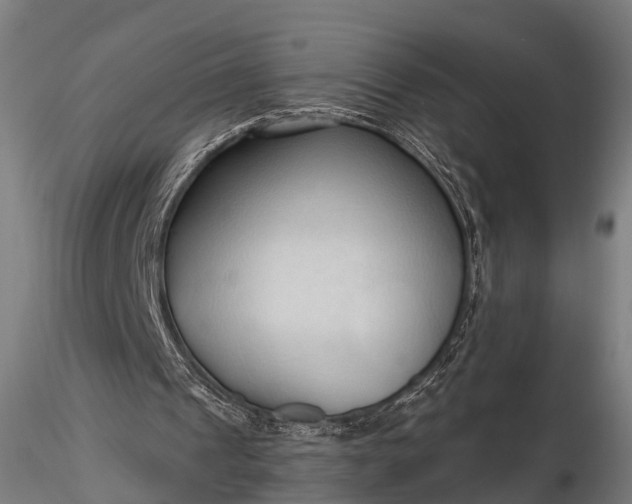 X0000116320241200912151249