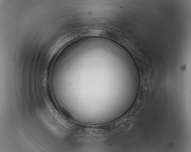 X0000116320242200912151249