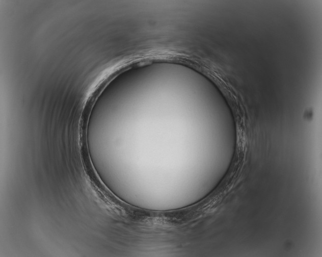 X0000116320244200912151249