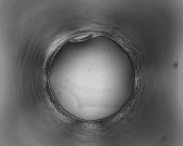 X0000116320245200912151249