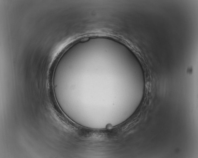 X0000116320248200912151249