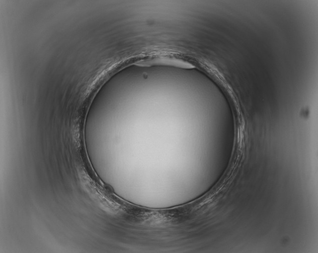 X0000116320249200912151249