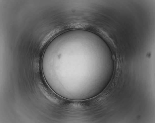 X0000116320250200912151249