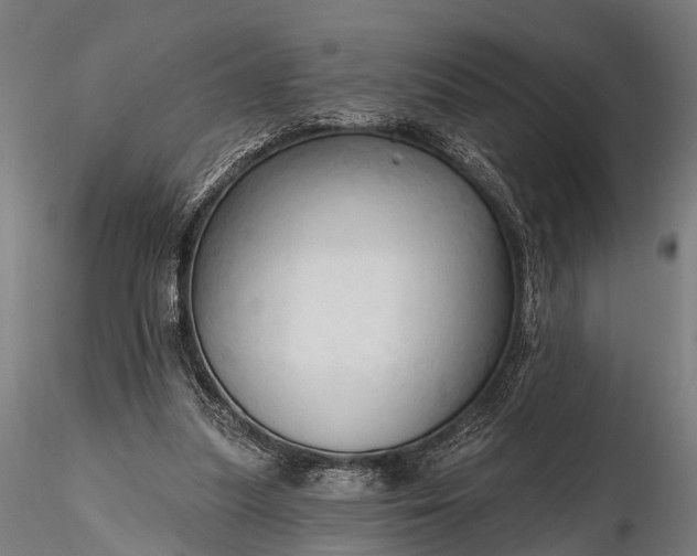 X0000116320251200912151249