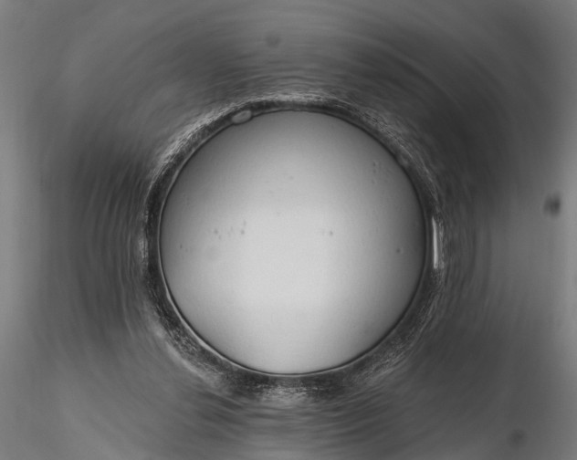 X0000116320252200912151249