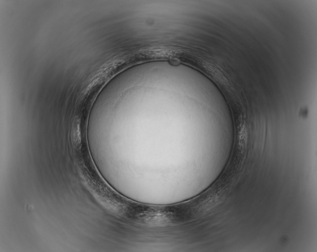 X0000116320254200912151249