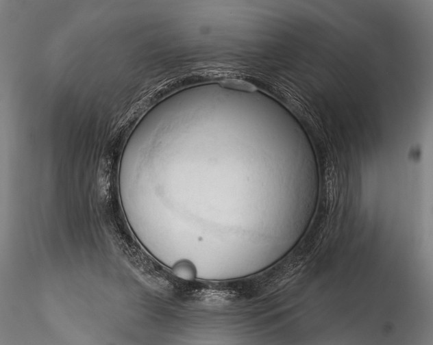 X0000116320255200912151249