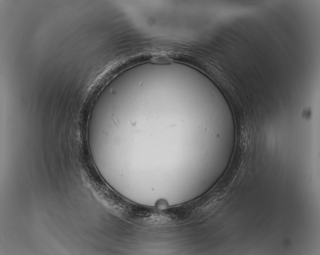 X0000116320256200912151249