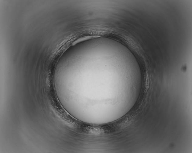 X0000116320258200912151249