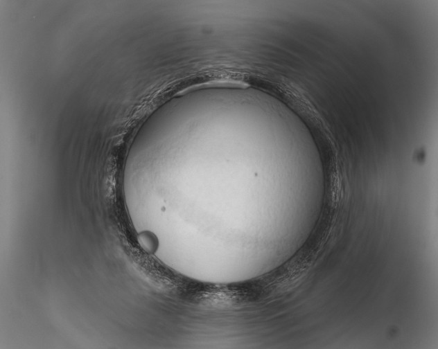 X0000116320259200912151249