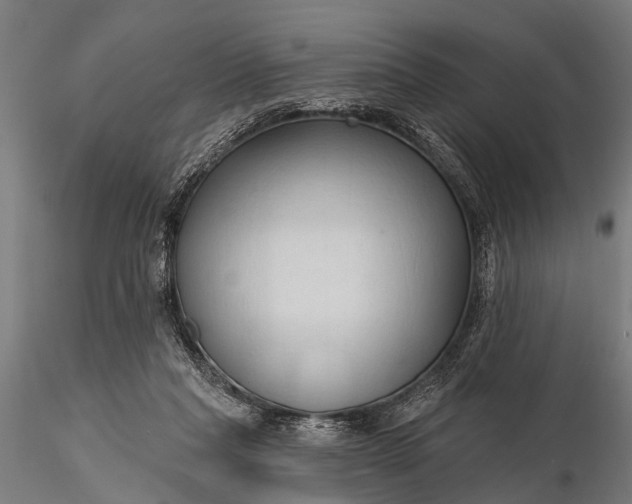 X0000116320261200912151249