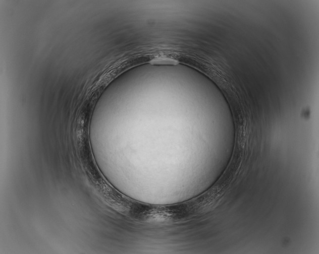 X0000116320263200912151249