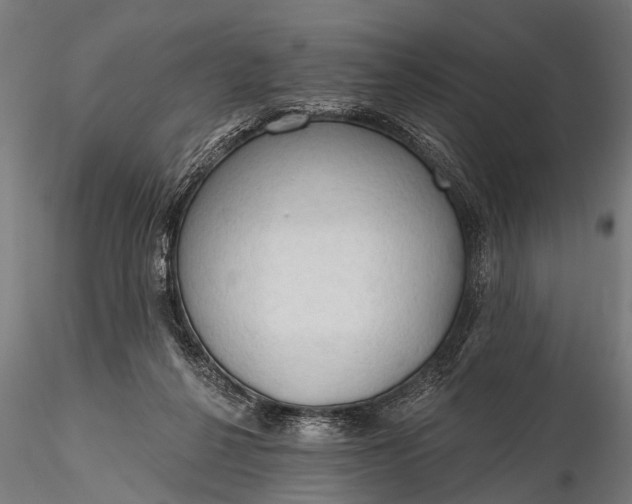 X0000116320264200912151249