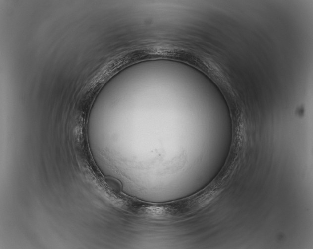 X0000116320265200912151249