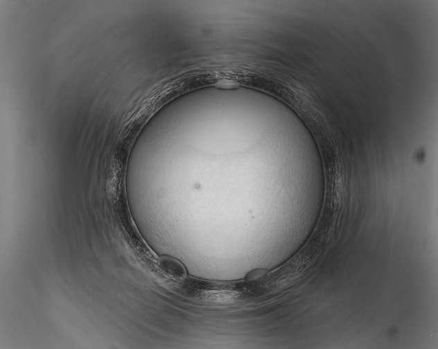 X0000116320266200912151249