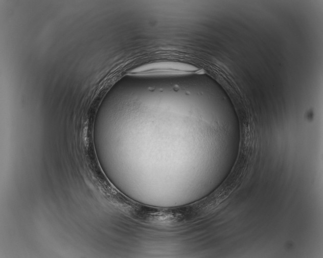 X0000116320267200912151249