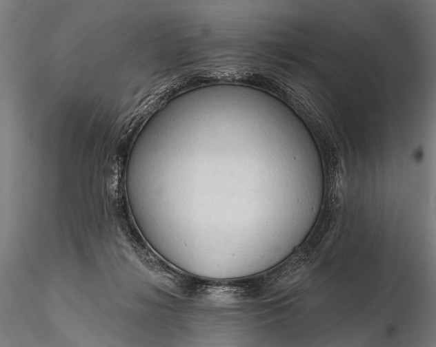 X0000116320268200912151249