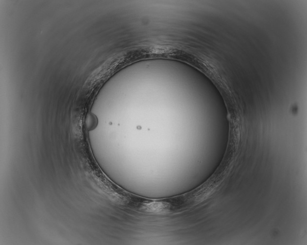 X0000116320269200912151249