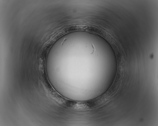 X0000116320270200912151249