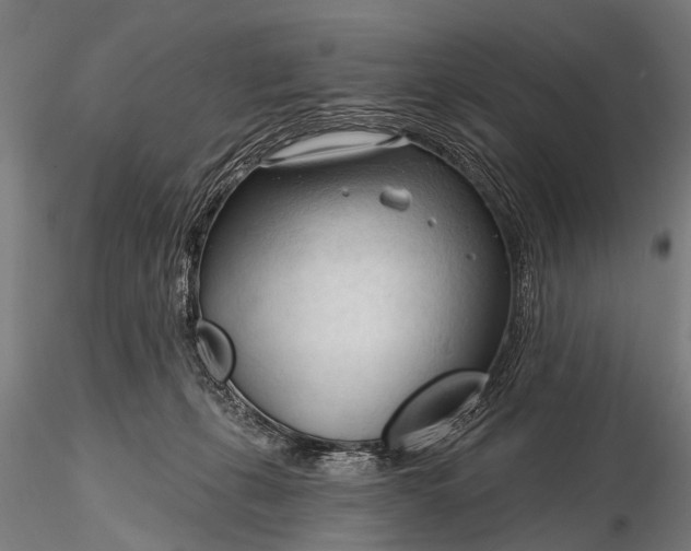 X0000116320271200912151249