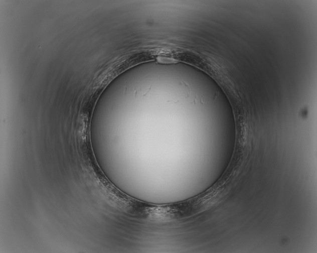 X0000116320273200912151249