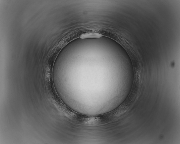 X0000116320274200912151249