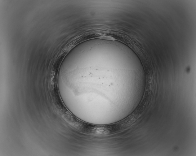 X0000116320275200912151249