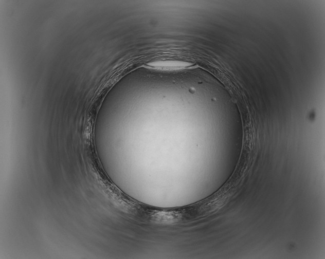 X0000116320277200912151249