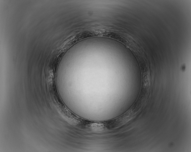 X0000116320279200912151249