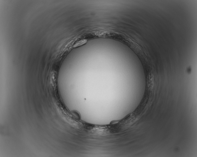 X0000116320280200912151249