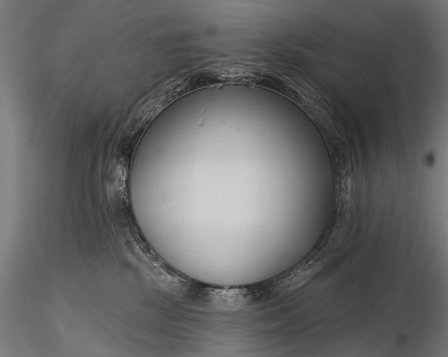 X0000116320281200912151249