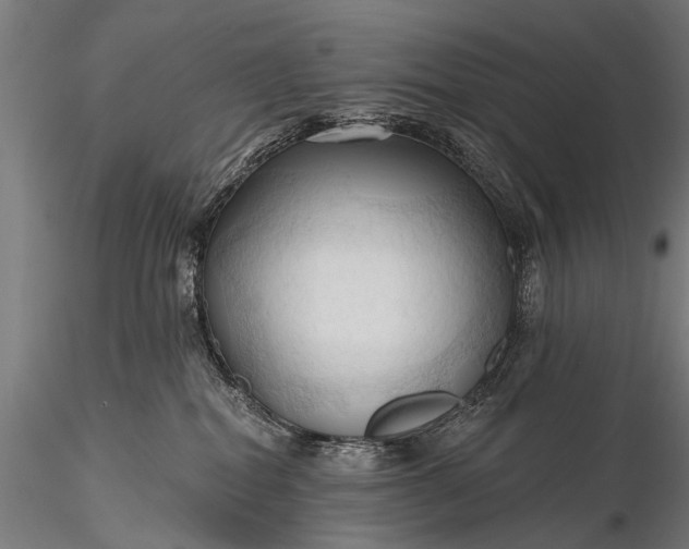 X0000116320282200912151249