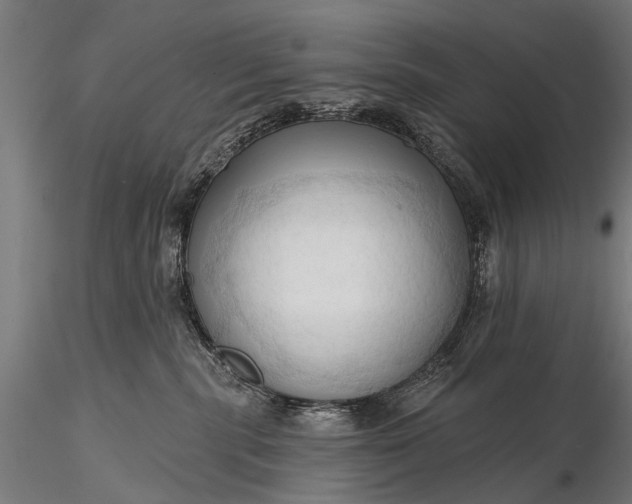 X0000116320283200912151249