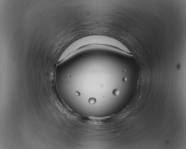 X0000116320284200912151249