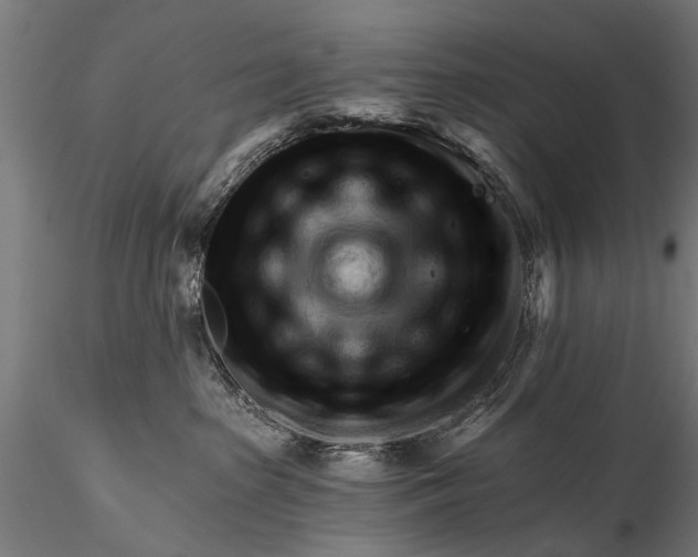 X0000116320285200912151249