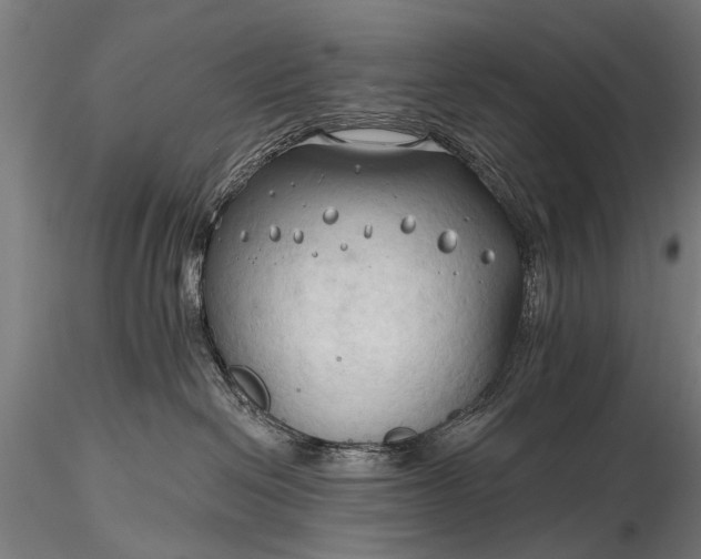 X0000116320286200912151249