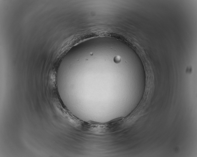 X0000116320288200912151249