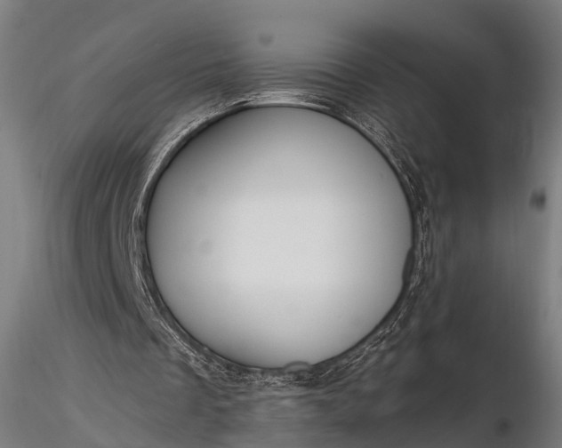 X0000116320289200912151249