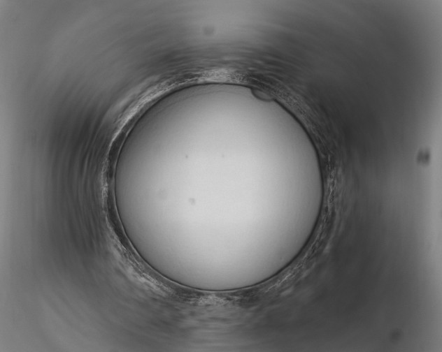 X0000116320290200912151249